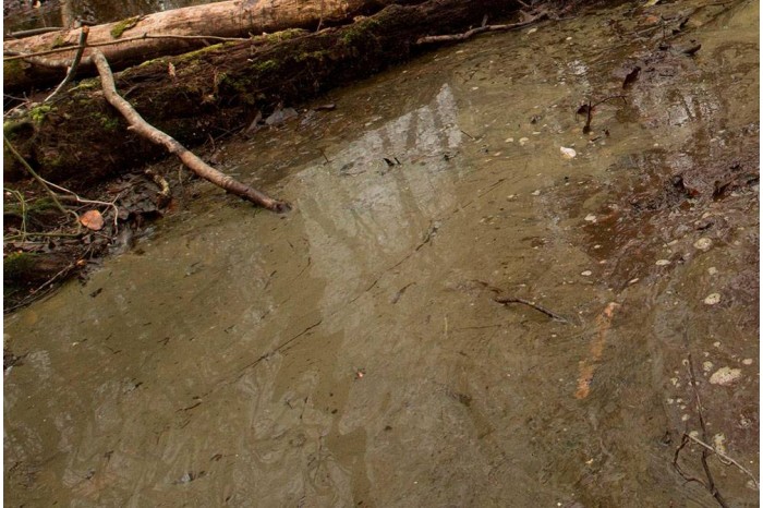 Water Gel Swamp Green 250 ml - AK8006