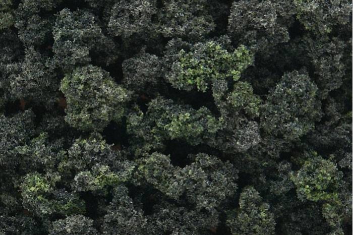 Směs lesních keřů (Bushes Forest Blend Bag) - FC149