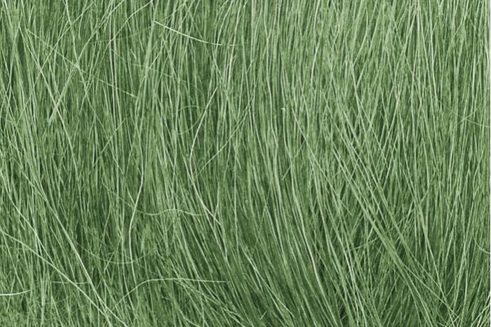 Zelená polní tráva (Field Grass Medium Green) - FG174