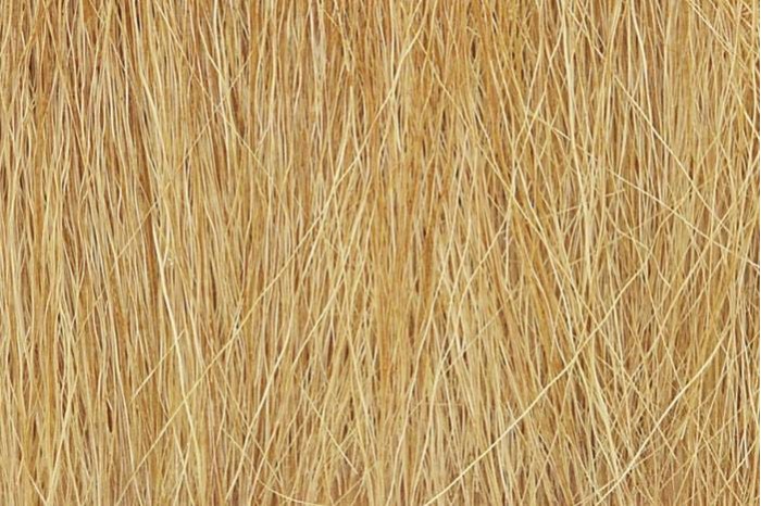 Polní tráva (Field Grass Harvest Gold) - FG172