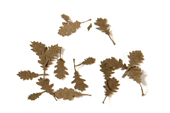 Oak dry leaves - 1:35 - 8107