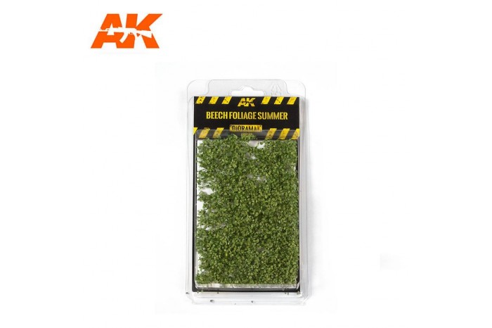 Beech Foliage Summer - 8145