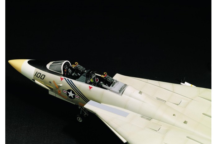 Model Kit letadlo 12253 - F-14A (1:48)