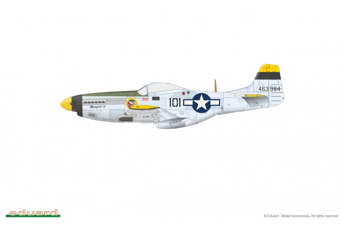 P-51D Mustang (1:48) - 82102