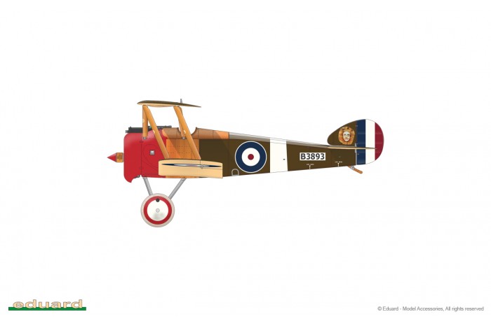 Camel & Co. DUAL COMBO (1:48) - 11151