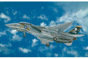 F-14A TOMCAT (1:48) - 2667