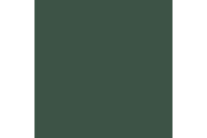 4807AP - Flat Russian Armor Green 20ml - akryl