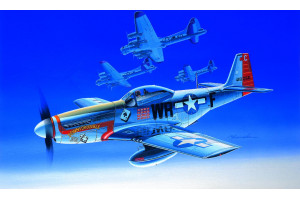 P-51D (1:72) - 12485