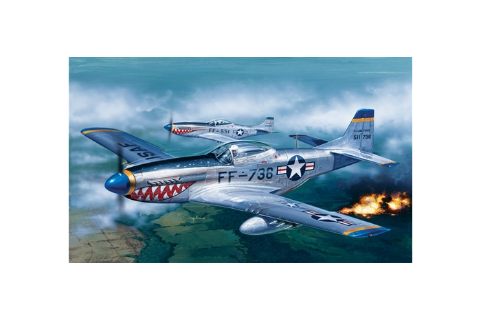 P-51D MUSTANG (1:72) - 0086