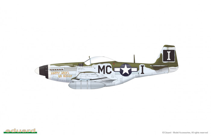 P-51D-5 (1:48) - 84172