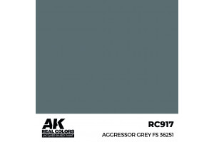 Aggressor Grey FS 36251 - RC917