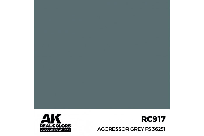 Aggressor Grey FS 36251 - RC917