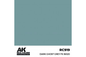 Dark Ghost Grey FS 36320 - RC919