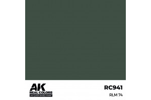 RLM 74 - RC941