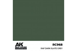 RAF Dark Slate Grey - RC968