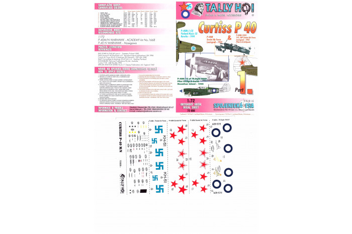 Curtis P-40 (1:72) - 72008