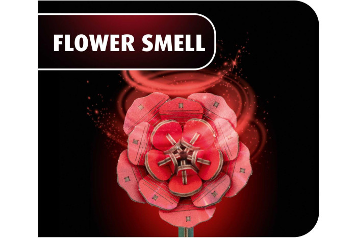 REVELL Flowers 00631 - Dream of Roses