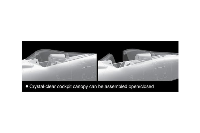 FOCKE -WULF Ta 152- C1/R14 (1:48) - 5573