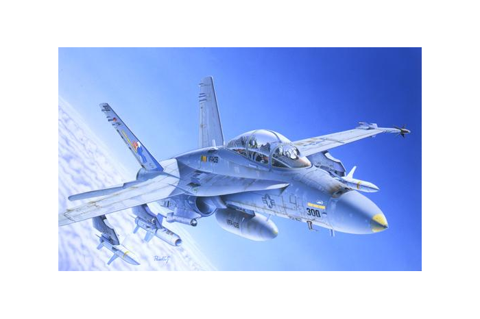 Model Kit letadlo 0016 - F/A-18C/D WILD WEASEL (1:72)